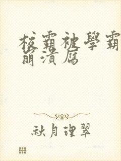 校霸被学霸玩到崩溃腐