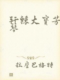 轩辕大宝芳菲雅琴封面