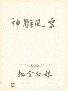 神雕风云