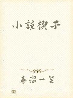小说楔子