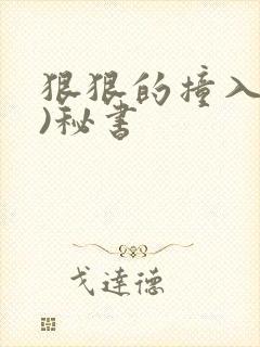 狠狠的撞入(h)秘书