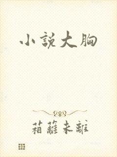 小说大胸