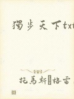 独步天下txt