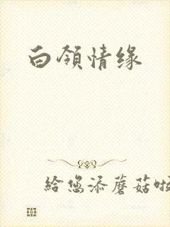白领情缘