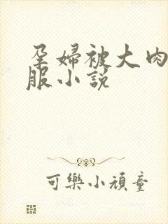 《孕妇被大肉楱征服小说》小说封面