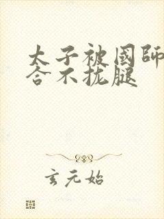 《太子被国师c到合不拢腿》小说封面