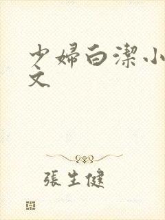 少妇白洁小说全文封面