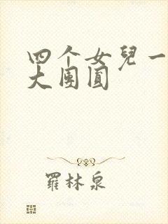 四个女儿一锅烩大团圆封面