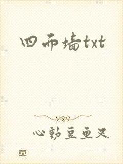 四面墙txt