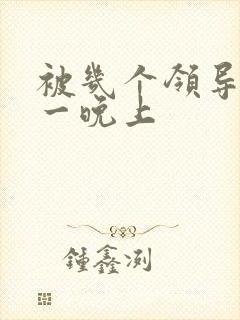 被几个领导玩弄一晚上