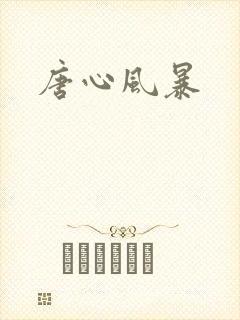 唐心风暴