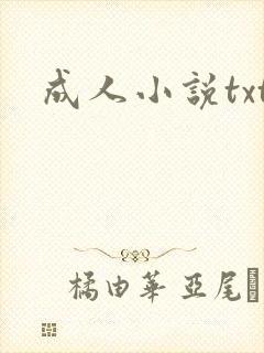 成人小说txt