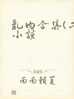 乱肉合集(二)小说