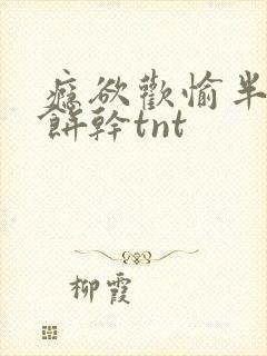 瘾欲欢愉半块小饼干tnt