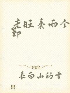 老旺秦雨全部章节