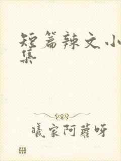 短篇辣文小说合集