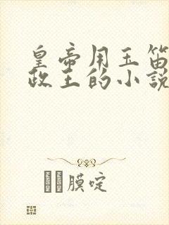 皇帝用玉笛整摄政王的小说