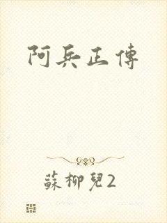 阿兵正传封面