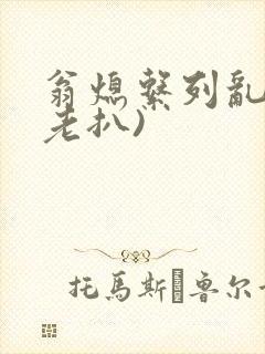 翁熄系列乱 (老扒)