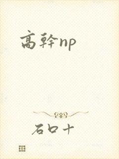 《高干np》小说封面