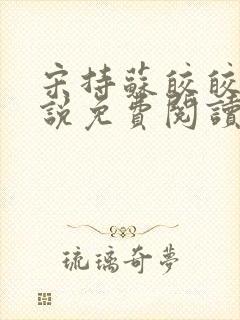 宋持苏皎皎的小说免费阅读