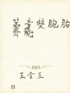 第章双胞胎姐妹齐飞