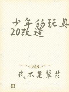 少年的玩具1一20改造