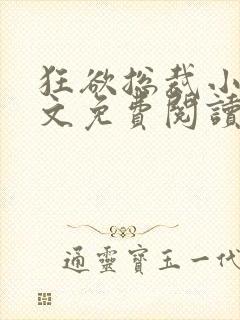 狂欲总裁小说全文免费阅读