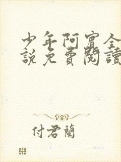 少年阿宾全文小说免费阅读笔趣阁