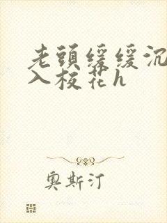 老头缓缓沉腰进入校花h