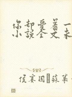 你却爱着一个他小说全文未删减免费