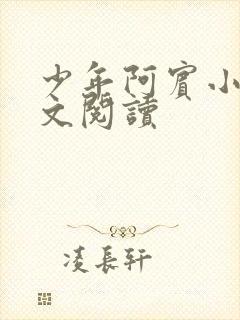 少年阿宾小说全文阅读