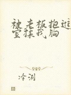 被老板抱进办公室揉我胸