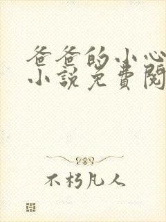 爸爸的小心肝儿小说免费阅读