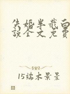 失婚半截白菜小说全文免费阅读