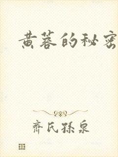 黄蓉的秘密