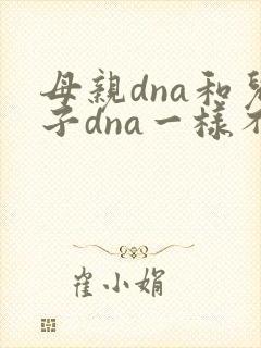 母亲dna和儿子dna一样不