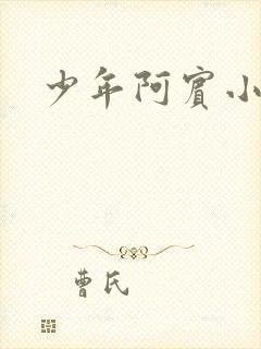 少年阿宾小说
