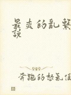 最爽的乱系列小说