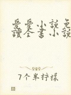 爱爱小说免费阅读全书小说乡村