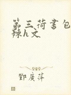 第三荷书包网高辣h文