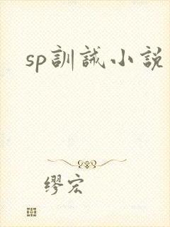 sp训诫小说