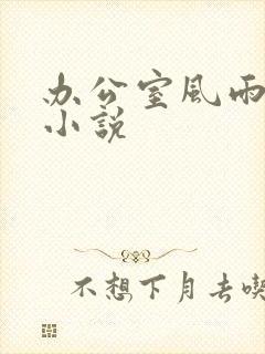 办公室风雨完整小说