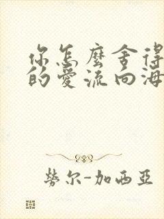 你怎么舍得让我的爱流向海