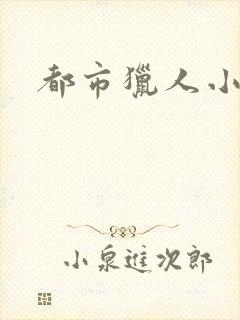 都市猎人小说