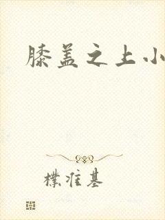 膝盖之上小说