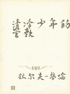 清冷少年的严厉管教