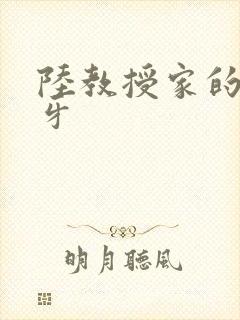 陆教授家的小月牙