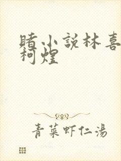 赌小说林喜朝和柯煜