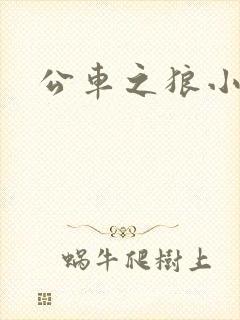 公车之狼小说